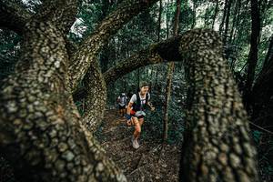 BIB: 
                            <button type="button" onclick="openModal(25392718)" class="btn btn-primary btn-sm float-right btn-popup" data-toggle="modal" data-target=".modal-high-quality">
                        <i class="fas fa-shopping-cart"></i> Add to Cart
                    </button>
                                            <button type="button" onclick="isThisMe(25392718, true)" class="btn btn-success btn-sm float-right btn-popup btn-isme hidden" data-toggle="tooltip" data-placement="bottom" title="นี่คือรูปของคุณใช่ไหม คลิกที่นี่เพื่อเอาเข้าอัลบั้ม">
                        <i class="fas fa-plus"></i> Add to album
                    </button>
                    <button type="button" onclick="isThisMe(25392718, false)" class="btn btn-warning btn-sm float-right btn-popup btn-isnotme hidden">
                        <i class="fas fa-ban"></i> Remove from album
                    </button>